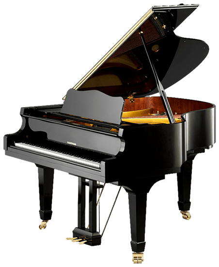 PIANO copy