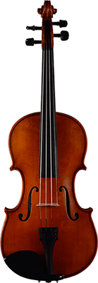 violin_copy copy